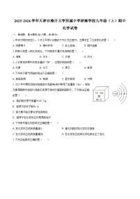 2025-2026学年天津市南开大学附属中学津南学校九年级（上）期中化学试卷-自定义类型