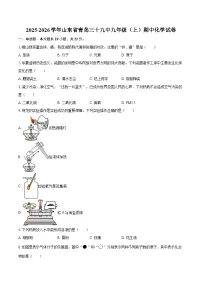 2025-2026学年山东省青岛三十九中九年级（上）期中化学试卷-自定义类型
