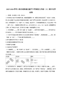 2025-2026学年上海市浦东新区建平中学西校九年级（上）期中化学试卷-自定义类型