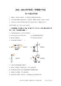 广东省深圳市外国语学校2025-2026学年九年级上学期期中考试化学试题