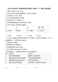 2025-2026学年广东省深圳市罗湖区九年级（上）期中化学试卷