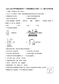 2025-2026学年青海省西宁二中教育集团九年级（上）期中化学试卷
