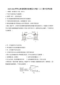 2025-2026学年山东省淄博市高青县九年级（上）期中化学试卷