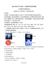 2024年济南市槐荫区初三化学上学期12月份月考试题及其答案
