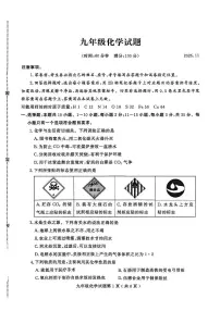 山东省潍坊市诸城市2025-2026学年九年级上学期11月期中化学试题