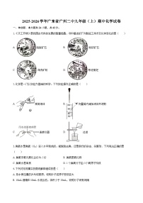 2025-2026学年广东省广州二中九年级（上）期中化学试卷-自定义类型