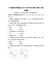 广东省韶关市乳源县2024-2025学年九年级下学期3月联考化学试题（学生版）