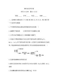 期中综合评价卷（含答案）初中化学鲁教版（五四制）（2024）九年级全一册