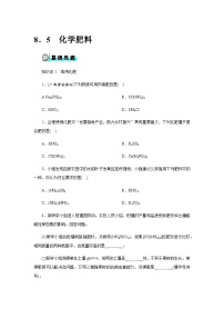 化学九年级下册（2024）化学肥料精品同步测试题