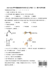 2025-2026学年福建省泉州市洛江区九年级（上）期中化学试卷（有答案和解析）