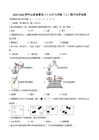2025-2026学年山东省青岛三十九中九年级（上）期中化学试卷（有答案和解析）