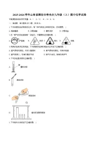 2025-2026学年山东省潍坊市寿光市九年级（上）期中化学试卷（有答案和解析）