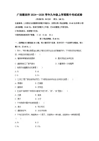 2024--2025学年广西靖西市九年级上学期期中考试化学试卷（学生版）