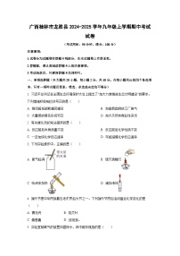 2024-2025学年广西桂林市龙胜县九年级上学期期中考试化学试卷（学生版）