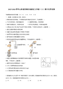 2025-2026学年山东省济南市高新区九年级（上）期中化学试卷