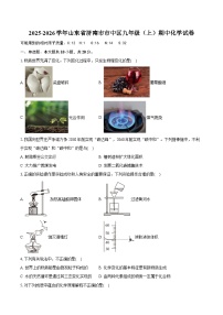2025-2026学年山东省济南市市中区九年级（上）期中化学试卷