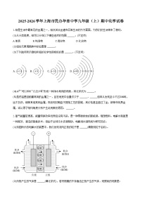 上海市民办华育中学2025-2026学年九年级（上）期中化学试卷（含答案）