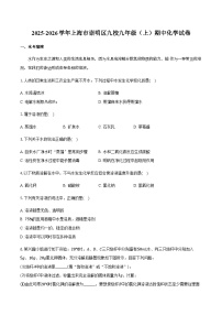 上海市崇明区九校2025-2026学年九年级（上）期中化学试卷（含答案）