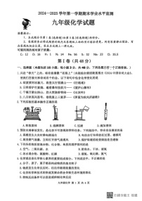 山东省滨州市沾化区2024-2025学年九年级上学期期末考试化学试题