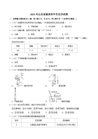 2025年山东省泰安市中考化学试卷附答案