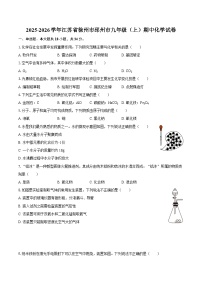 2025-2026学年江苏省徐州市邳州市九年级（上）期中化学试卷-自定义类型