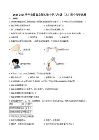 2025-2026学年安徽省阜阳实验中学九年级（上）期中化学试卷（含答案）