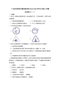 2025-2026学年广东省东莞市水霖实验学校九年级上学期化学练习（一）（含答案）