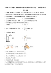 2025-2026学年广东省深圳市南山外国语学校九年级（上）期中化学试卷（含答案）