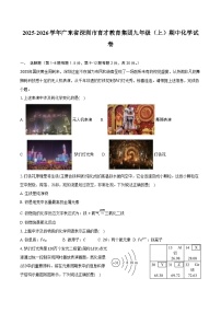 2025-2026学年广东省深圳市育才教育集团九年级（上）期中化学试卷（含答案）