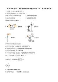 2025-2026学年广东省深圳外国语学校九年级（上）期中化学试卷（含答案）