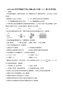 2025-2026学年河南省平顶山市鲁山县九年级（上）期中化学试卷（含答案）
