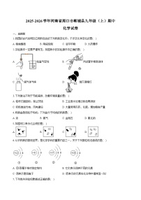 2025-2026学年河南省周口市郸城县九年级（上）期中化学试卷（含答案）