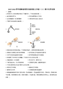 2025-2026学年湖南省邵阳市新邵县九年级（上）期中化学试卷（含答案）