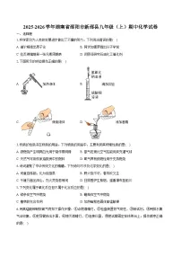 2025-2026学年湖南省邵阳市新邵县九年级（上）期中化学试卷（含答案）