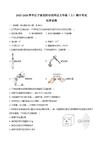 2025-2026学年辽宁省沈阳市沈河区九年级（上）期中化学试卷（含答案）