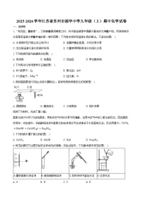 2025-2026学年江苏省苏州市振华中学九年级（上）期中化学试卷（含答案）