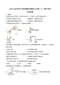 2025-2026学年江苏省盐城市盐都区九年级（上）期中化学试卷（含答案）