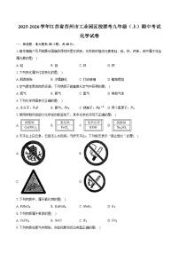 2025-2026学年江苏省苏州市工业园区校联考九年级（上）期中化学试卷（含答案）