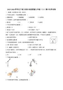 2025-2026学年辽宁省大连市名校联盟九年级（上）期中化学试卷（含答案）