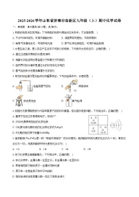 2025-2026学年山东省济南市高新区九年级（上）期中化学试卷（含答案）