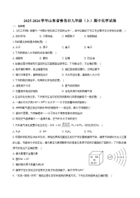 2025-2026学年山东省青岛市九年级（上）期中化学试卷（含答案）