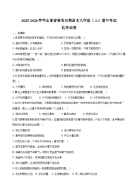2025-2026学年山东省青岛市莱西市八年级（上）期中化学试卷（含答案）