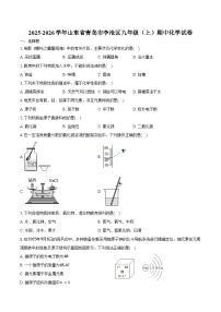 2025-2026学年山东省青岛市李沧区九年级（上）期中化学试卷（含答案）