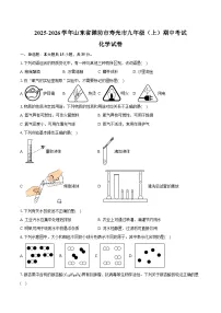 2025-2026学年山东省潍坊市寿光市九年级（上）期中化学试卷（含答案）