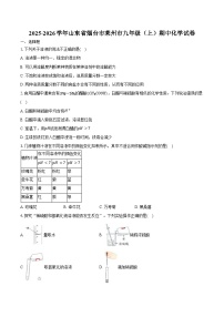 2025-2026学年山东省烟台市莱州市九年级（上）期中化学试卷（五四学制）（含答案）
