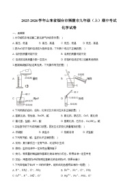 2025-2026学年山东省烟台市栖霞市九年级（上）期中化学试卷（五四学制）（含答案）