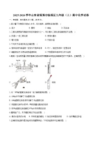 2025-2026学年山东省淄博市临淄区九年级（上）期中化学试卷（埝发）
