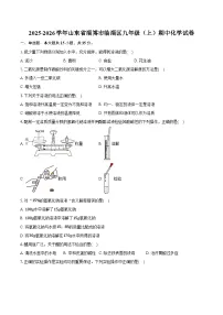 2025-2026学年山东省淄博市临淄区九年级（上）期中化学试卷（埝发）