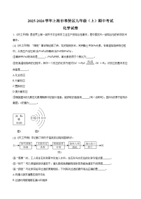 2025-2026学年上海市奉贤区九年级（上）期中化学试卷（含答案）