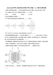 2025-2026学年上海市民办华育中学九年级（上）期中化学试卷（含答案）